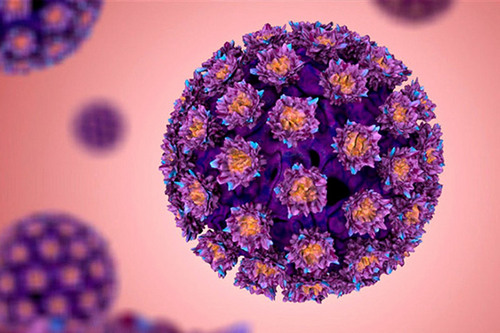 Вирус папилломы человека – как не заболеть и не заразить другого