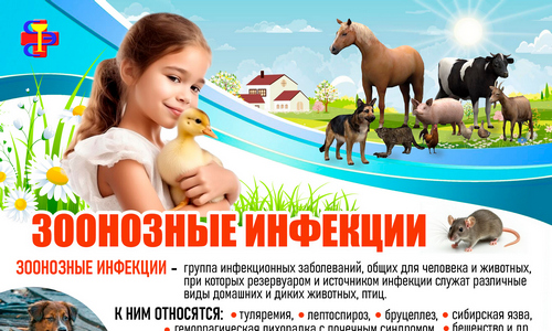 Зоонозные инфекции