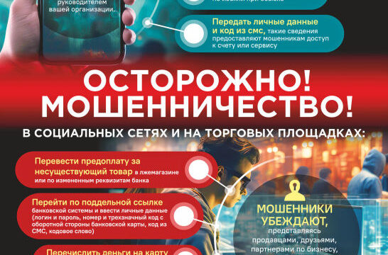 Профилактика и противодействие киберпреступности