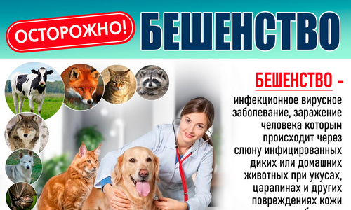 Осторожно, бешенство!