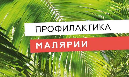 Профилактика малярии